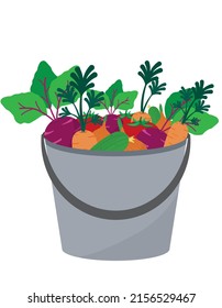 Garden bucket with vegetables. Lots of vegetables. A symbol of growing and picking vegetables.