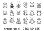 Garden bugs hand drawn outline doodle icon set. Garden bugs drawing elements simple line beetle clipart. Vector illustration