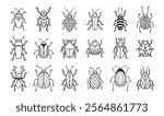 Garden bugs hand drawn outline doodle icon set. Garden bugs drawing elements simple line beetle clipart. Vector illustration