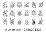 Garden bugs hand drawn outline doodle icon set. Garden bugs drawing elements simple line beetle clipart. Vector illustration
