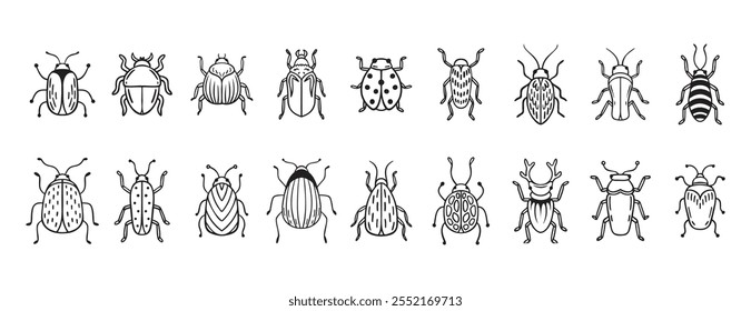 Garden bugs hand drawn outline doodle icon set. Garden bugs drawing elements simple line beetle clipart. Vector illustration