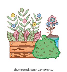 garden bush with flowers