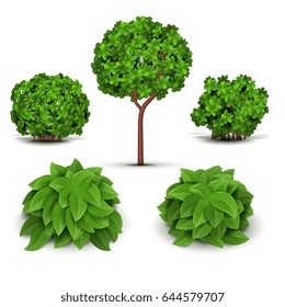 Garden bush with green leaves vector set