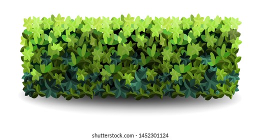 Garden bush. Green garden vegetation bushes icon. Ornamental plant shrub for decorate landscape park, a garden or a green fence. Thick thickets of shrubs. Foliage for spring and summer card design.