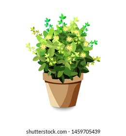 Garden bush. Green garden vegetation bushes icon. Ornamental plant shrub for decorate landscape park, a garden or a green fence. Thick thickets of shrubs. Foliage for spring and summer card design.