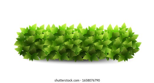 Garden bush. Green garden vegetation bushes icons. Ornamental plant shrub to decorate park, landscape, garden  or a green fence. Thick thickets of shrubs. Foliage for spring and summer card design.