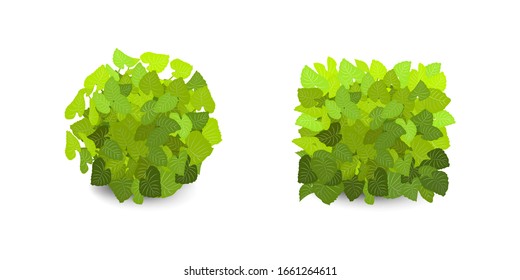 Garden bush. Green garden vegetation bushes icons. Ornamental plant shrub to decorate park, landscape, garden  or a green fence. Thick thickets of shrubs. Foliage for spring and summer card design.