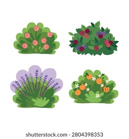 Garden bushes set. Collection of cute cartoon plants including rose bush, berry bush, lavender and orange tree. Spring and summer nature elements for gardening, stickers and decor. Flat vector illustration isolated on white background.
