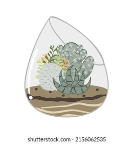 Cactus terrarium Illustration. Das Terrarium hat geometrische Formen, die ihm einen klassischen Look verleihen.