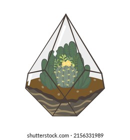 Cactus terrarium Illustration. Das Terrarium hat geometrische Formen, die ihm einen klassischen Look verleihen.