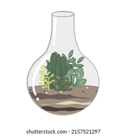 Cactus terrarium Illustration. Das Terrarium hat geometrische Formen, die ihm einen klassischen Look verleihen.