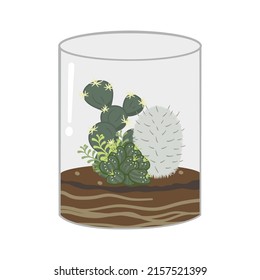 Garden of cactus and succulent plants inside a terrarium.A small garden decorated in style and classic with geometric shapes.Single vector illustration isolated on white background.