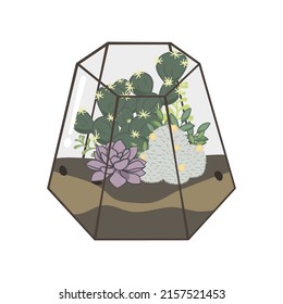 Cactus terrarium Illustration. Das Terrarium hat geometrische Formen, die ihm einen klassischen Look verleihen.