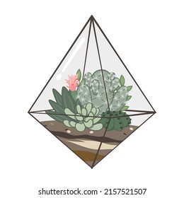 Cactus terrarium Illustration. Das Terrarium hat geometrische Formen, die ihm einen klassischen Look verleihen.