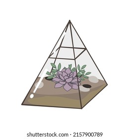 Garten mit Kakteen und Sukkulenten Pflanzen innerhalb eines Terrariums. Ein kleiner Garten, der im Stil und klassisch mit geometrischen Formen dekoriert ist. EinzelVektorgrafik einzeln auf weißem Hintergrund.