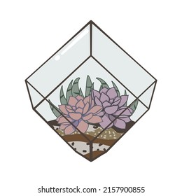 Garten mit Kakteen und Sukkulenten Pflanzen innerhalb eines Terrariums. Ein kleiner Garten, der im Stil und klassisch mit geometrischen Formen dekoriert ist. EinzelVektorgrafik einzeln auf weißem Hintergrund.