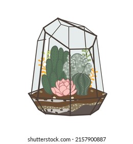 Garten mit Kakteen und Sukkulenten Pflanzen innerhalb eines Terrariums. Ein kleiner Garten, der im Stil und klassisch mit geometrischen Formen dekoriert ist. EinzelVektorgrafik einzeln auf weißem Hintergrund.