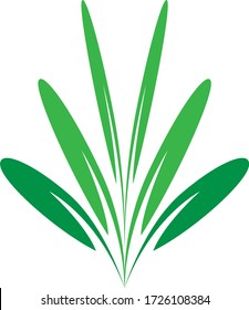 Garden care design logo vector stock