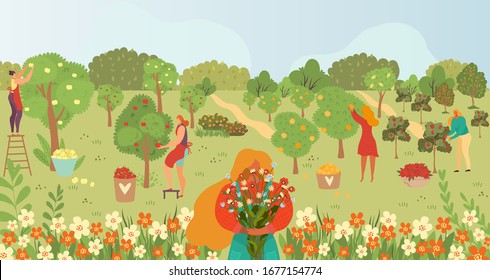 Garden care, gardening, people and fruits on trees in summer harvesting cartoon vector illusrtration. Gardeners collecting fruits harvest and agriculture at nature. Agriculture and farmers women.