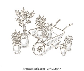 Garden cart with flower. 