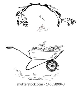 Garden cart, pumpkins, mole. Vector illustration.
