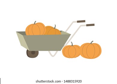 Garden cart with yellow pumpkins. 