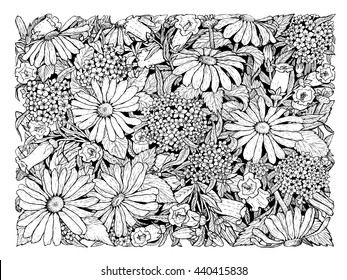 Garden chamomile. Bell flowers. Garden flowers painted line on a white background. Vector sketch of summer flowers