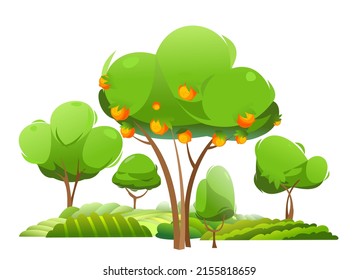 Garden with citrus tree. Harvest lemon and grapefruit. Ripe oranges and tangerines. Rural garden hills. Landscape cartoon style. Isolated on white background. Vector