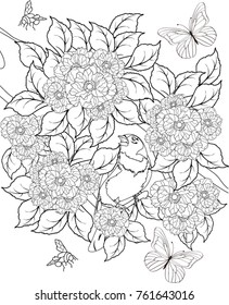 garden coloring book page