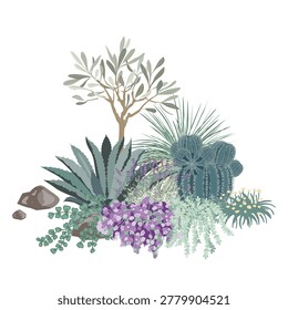 Garden composition with young olive tree, sedums, agave, alyssum, and lavender flowers. Mediterranean garden design