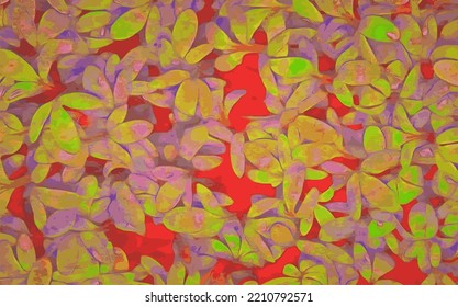 Garden cress full of colors and vitamins