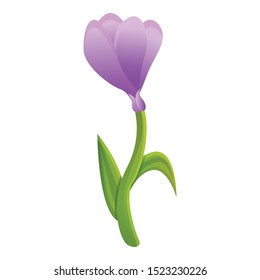 Garden crocus icon. Cartoon of garden crocus vector icon for web design isolated on white background