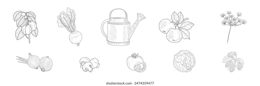 Garden Crop Harvest and Yield Linear Vector Set