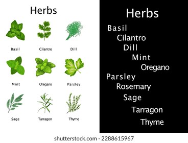 Garden culinary vegan organic herbs used in cooking illustrations poster wall art