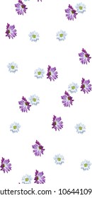 Garden daisy seamless pattern on white background. Botanical illustration hand drawn. Vector floral design for fashion prints, scrapbook, wrapping paper