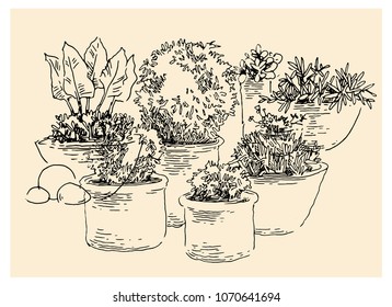 Garden design elements hand made sketch. Vector illustration