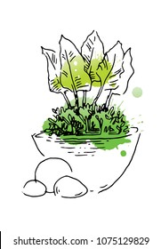 Garden design elements hand made sketch. Vector illustration
