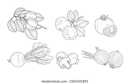 Garden Elements Set, Watering Can, Apricot and Apple Branches, Pomegranate, Beetroot, Mushroom, Onion Black and White. Hand Drawn Vector Illustration.