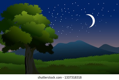 garden in evening illustration