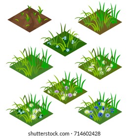 Garden or farm isometric tile set. Isolated tiles with grass and flowers - chamomiles and other. Vector illustration, can be used as a game asset to create landscape or garden scene.