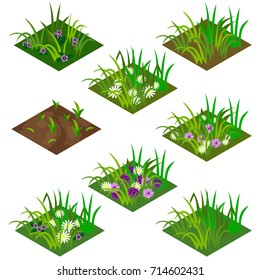 Garden or farm isometric tile set. Isolated tiles with grass and flowers - chamomiles and other. Vector illustration, can be used as a game asset to create landscape or garden scene.