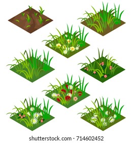 Garden or farm isometric tile set. Isolated tiles with grass and flowers - chamomiles and other. Vector illustration, can be used as a game asset to create landscape or garden scene.