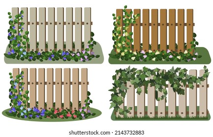 Garden fence set with climbing plants, flowers, greenery. Vector illustration