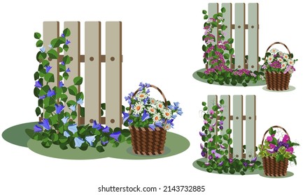 Garden fence set with wicker baskets, flowers, leaves, greenery. Vector illustration