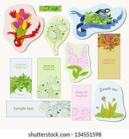 Garden and field flowers