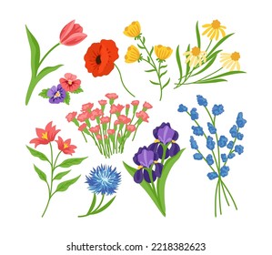 Flores de jardín y de campo. Ilustraciones vectoriales botánicas de flores de primavera y verano frescas. Caricatura adorables plantas florecientes en ramos florales aislados en blanco. Naturaleza, belleza, concepto de diseño