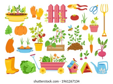 Garden Flat Cartoon Set. Vegetables Growing Soil In Pot, Rustic Fence. Rubber Boots, Pitchfork And Gloves, Secateurs. Garden Cart, Birdhouse And Watering Can. Hand Drawn Isolated Vector Illustration