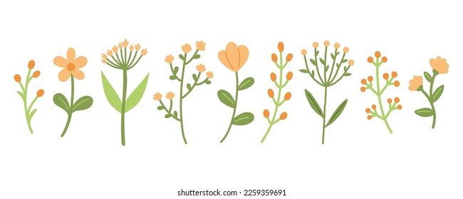 Garden floral plants set. Simple doodle flower plants isolated on white background. Colorful flat vector illustration