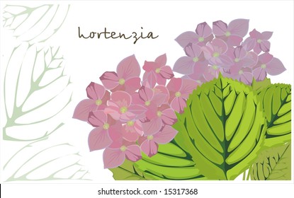 garden flower