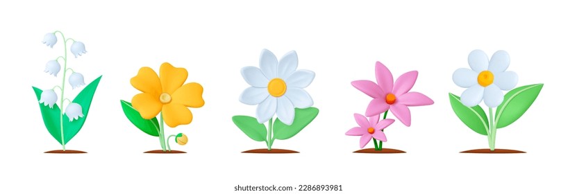 Garden flower 3d elements, flowers realistic with leaves in ground. Isolated floral elements, blooming chamomile snowdrop vector set